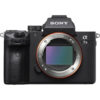 Rent Sony A7 iii Mirrorless Camera in India